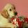 Karacsony-001_488314_84422_t