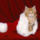 Karacsony_488312_30083_t