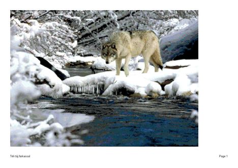 Téli táj farkassal 