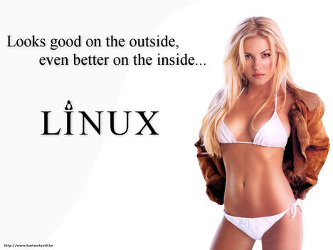 linux,na bagoly vagy pingvin?