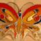 Bachmann Ildikó-Nagy pillangó