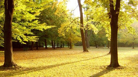 autumn-park