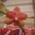 Phalaenopsis_orchidea-012_493810_69663_t