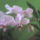 Nallam_hajtott_494658_65780_t