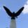 I_vilaghaborus_emlekmu_turulmadara_szarvason_496010_17762_t