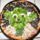 Yoda_pizza_496219_62805_t