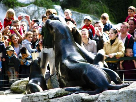 Bécsi állatkert 26