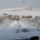 P1014157_499916_44919_t