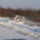 P1014202_499923_49475_t