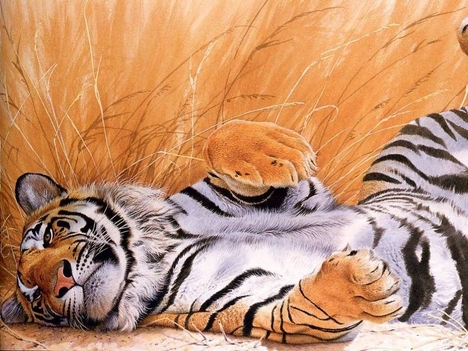 Tigris02