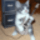 Buek-002_511497_12437_t
