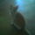 Kep010_511327_92421_t