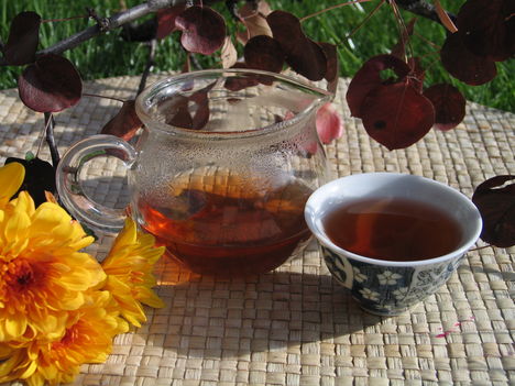 Tea_ősz