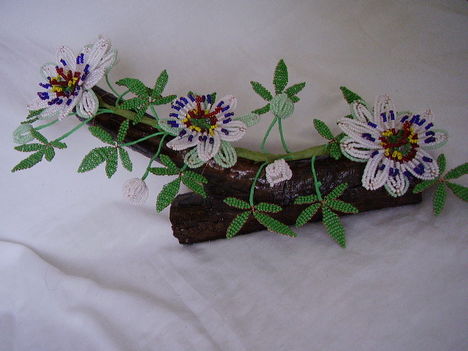 Golgota-virág