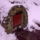 Matraverebelyszentkut_szentkutak_havasan_foto_wwwthermalbusinesscom_2_512097_27957_t