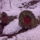 Matraverebelyszentkut_szentkutak_havasan_foto_wwwthermalbusinesscom_3_512098_45518_t