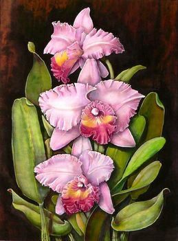 Orchidea 09 Cattleya gaskelliana, silk, 40x30 cm