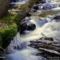 Colorado Mountain Stream