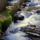 Colorado_mountain_stream_513965_70746_t