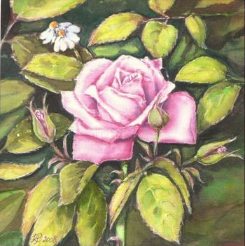 Rózsaszál, selyem, 15x15 cm