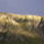 Torocko_es__minden_ami_hozza_fuzodik_11_514578_48502_t