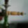 Ez_a_vizipipam2_515180_85448_t