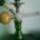 Ez_a_vizipipam3_515181_68691_t