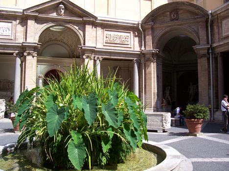 Vatikáni Múzeum, Cortile Ottagono ( a nyolcszögletű udvar)