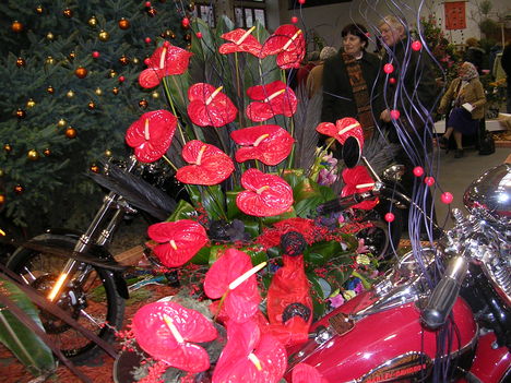 Keceli virágkiállítás  2009
