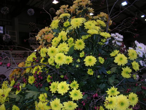 keceli virágkiállítás képei 2009