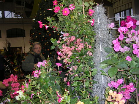 Keceli virágkiállítás 2009
