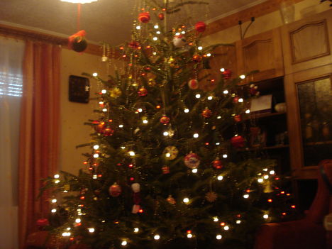 A mi karácsonyfánk 2009