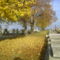 Őszi temető 1 