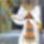Emlek_35_522101_36708_t