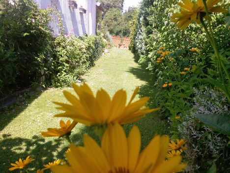 Fényképek-0005