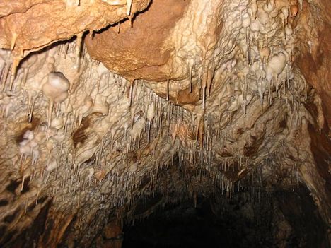 Aggteleki Baradla barlang - a Retek ág retkek