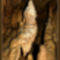 Béke-barlang, Jósvafő Magyarország 1