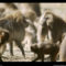 Gelada Face Off, Ethiopia, 2002