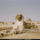 Great_sphinx_giza_egypt_1951_523720_33701_t