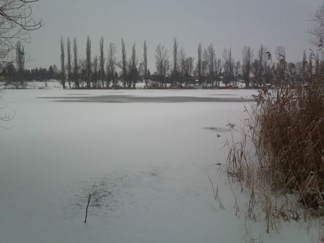 A téli tó 2010 januárban Dányban.