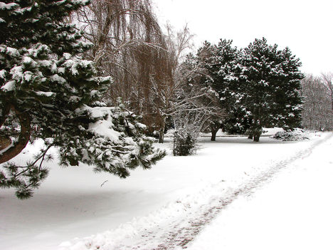 2010, havas friss képei. 1