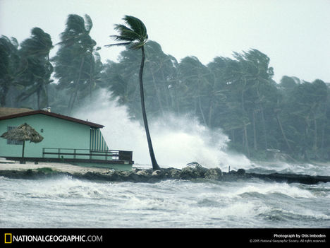 Hurricane Winds, Florida, 1973