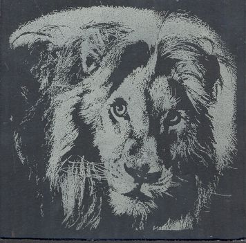 oroszlán