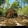 Giant_tortoise_seychelles_1998_529944_80185_t