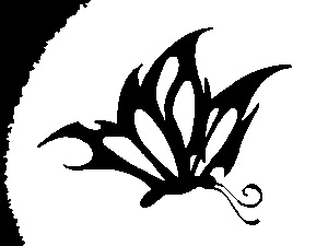 butterfly tattoo jav