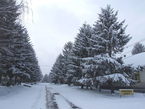 Kóny Rákóczi utca télen.