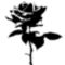 Rose_Stencil