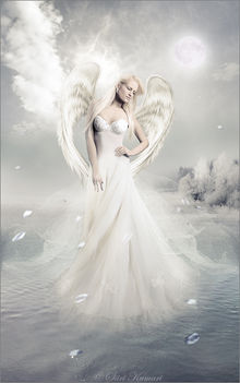 fehér angyal