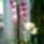 Rm_4_533342_90485_t