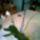 Rm_92_533347_86912_t